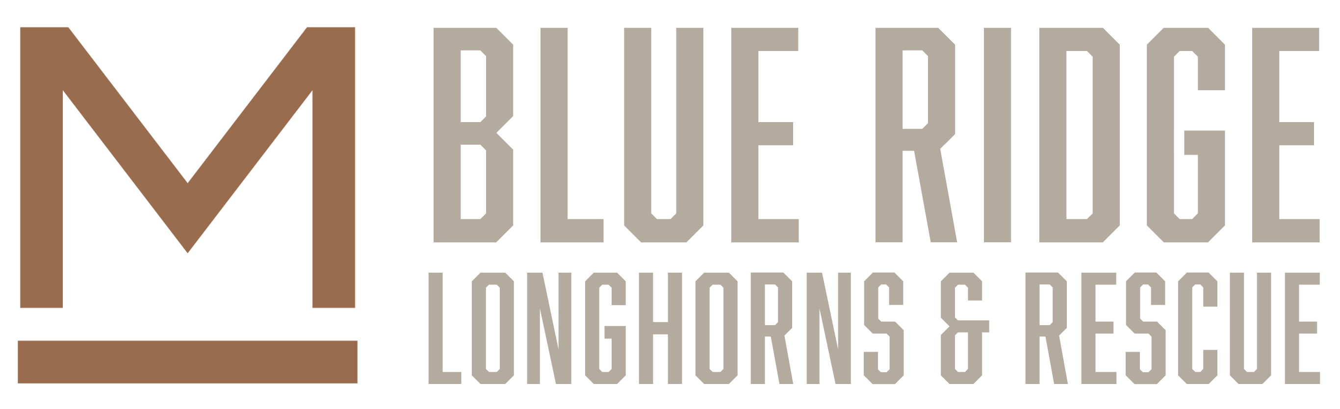 Blue Ridge Longhorns & Rescue